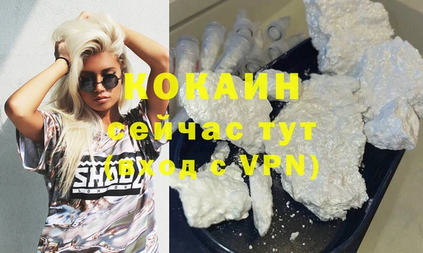 соль ск Инсар