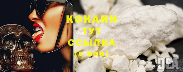 прущие грибы Ступино
