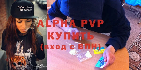 прущий лед Бородино