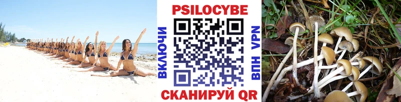 как найти   Торопец  omg сайт  Галлюциногенные грибы Magic Shrooms 